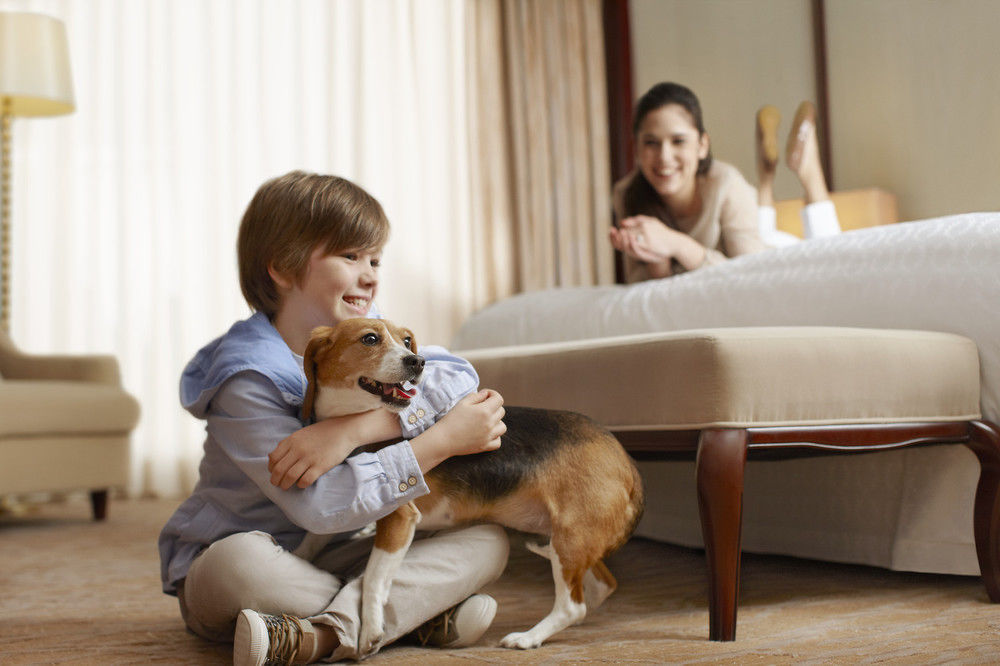 Sheraton Mckinney Ngoại thất bức ảnh